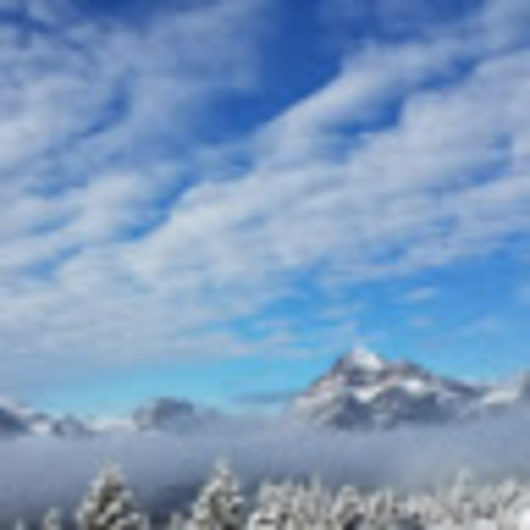 Meet your Posher, Erin - Picture 1 of 1